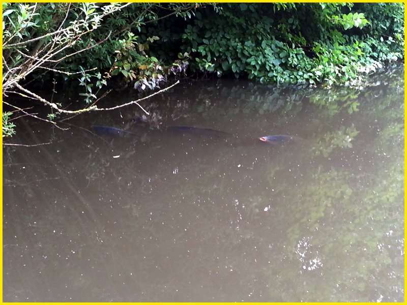 Esperar o moverse; ¡Observar es la mitad del trabajo!